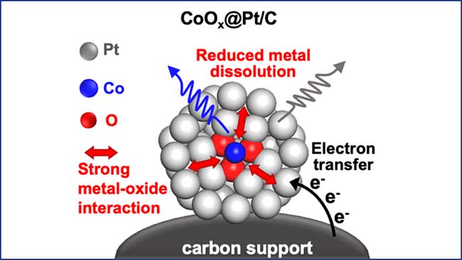 Fuel cell carbon support